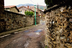 Buiza, Camino de San Salvador - La Robla - Poladura de la Tercia (71)