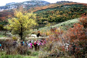 Camino de los Arrieros, Camino de San Salvador - La Robla - Poladura de la Tercia (74)