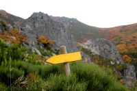 Camino de San Salvador - La Robla - Poladura de la Tercia (91)