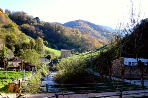 3ª Estapa - Poladura de la Tercia - Puente de los Fierros (142)