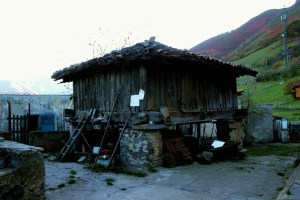 3ª Estapa - Poladura de la Tercia - Puente de los Fierros (168)
