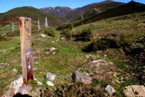 3ª Estapa - Poladura de la Tercia - Puente de los Fierros 