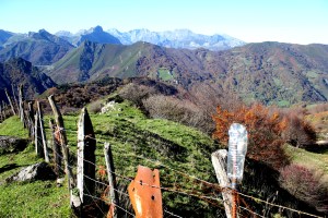3ª Estapa - Poladura de la Tercia - Puente de los Fierros (88)