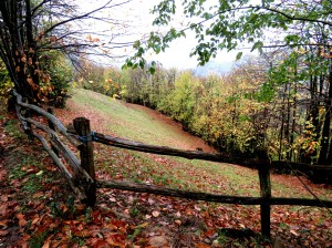 4ª Etapa Camino de Santiago Ruta de San Salvador 