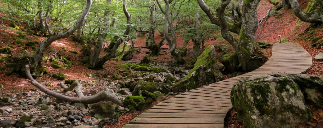 portada-faedo-de-cinera-1-2