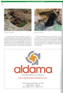 Cuarta página de nuestro Artículo en la Revista Arbolio